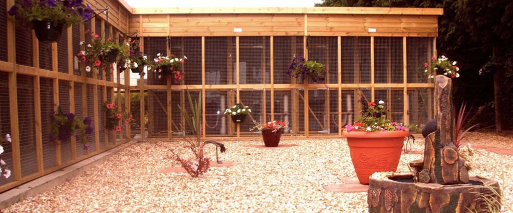 Cattery Outside